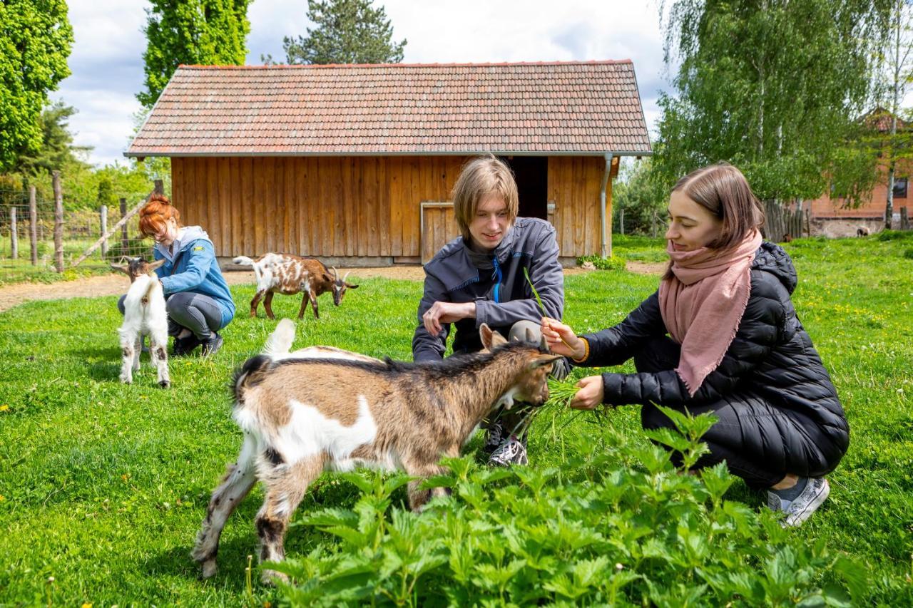 Landhotel Biberburg Bad Liebenwerda Eksteriør bilde